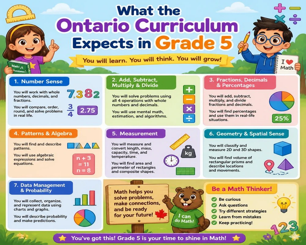 What the Ontario Curriculum Expects in Grade 5