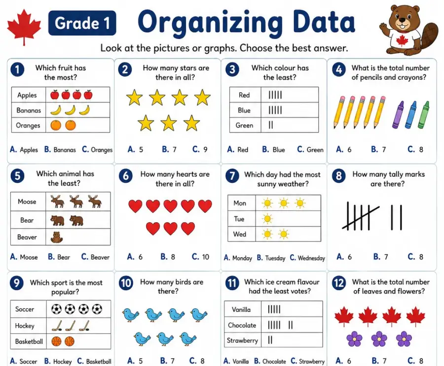 Organizing Data – Grade 1 math worksheet (preview)