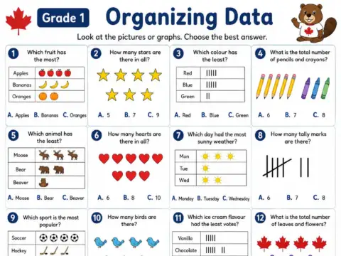Organizing Data – Grade 1 math worksheet preview