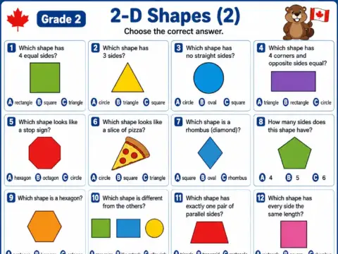 2D Shapes (Part 2) – Grade 2 math worksheet preview