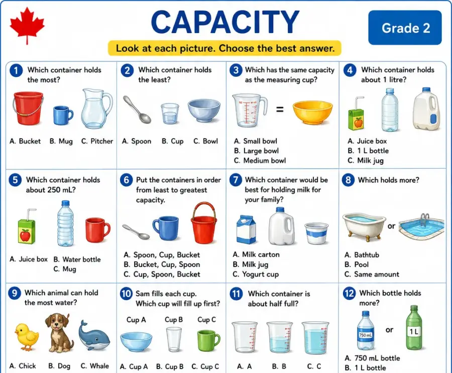 Capacity – Grade 2 math worksheet (preview)