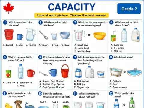 Capacity – Grade 2 math worksheet preview