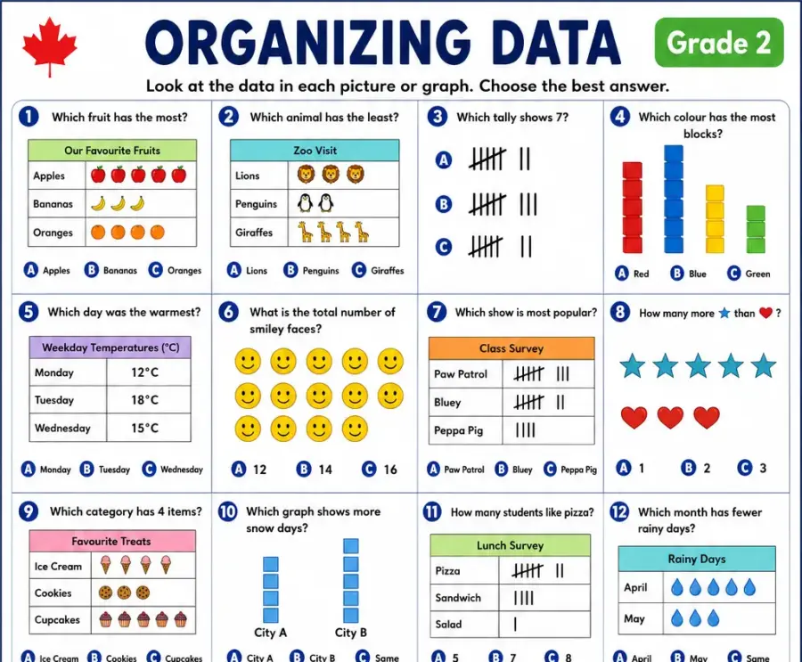 Organizing Data – Grade 2 math worksheet (preview)
