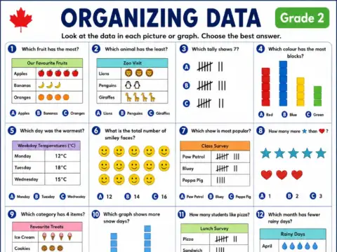 Organizing Data – Grade 2 math worksheet preview
