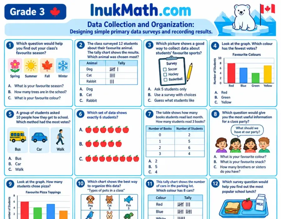 Data Collection and Organization – Grade 3 math worksheet (preview)