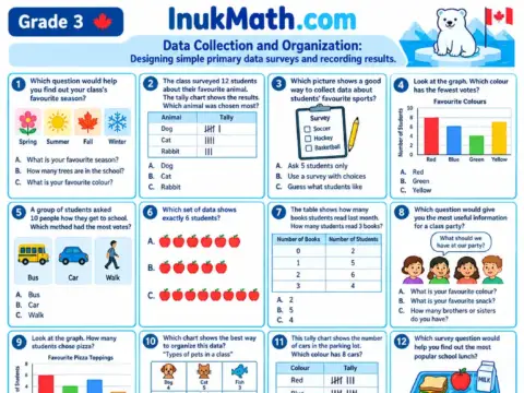 Data Collection and Organization – Grade 3 math worksheet preview