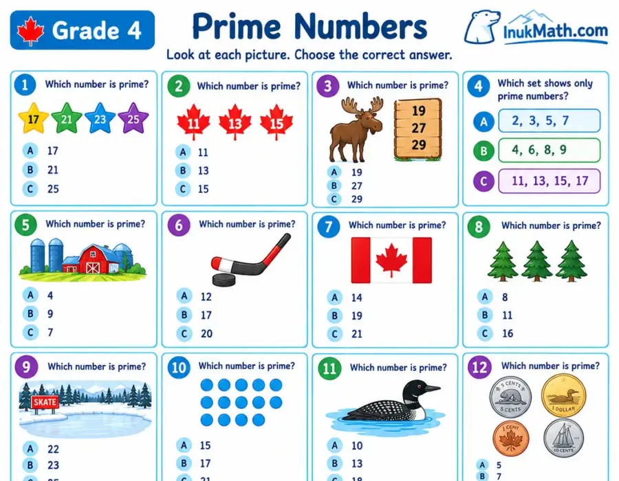 Prime Numbers – Grade 4 math worksheet (preview)