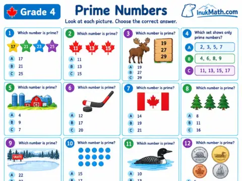Prime Numbers – Grade 4 math worksheet preview