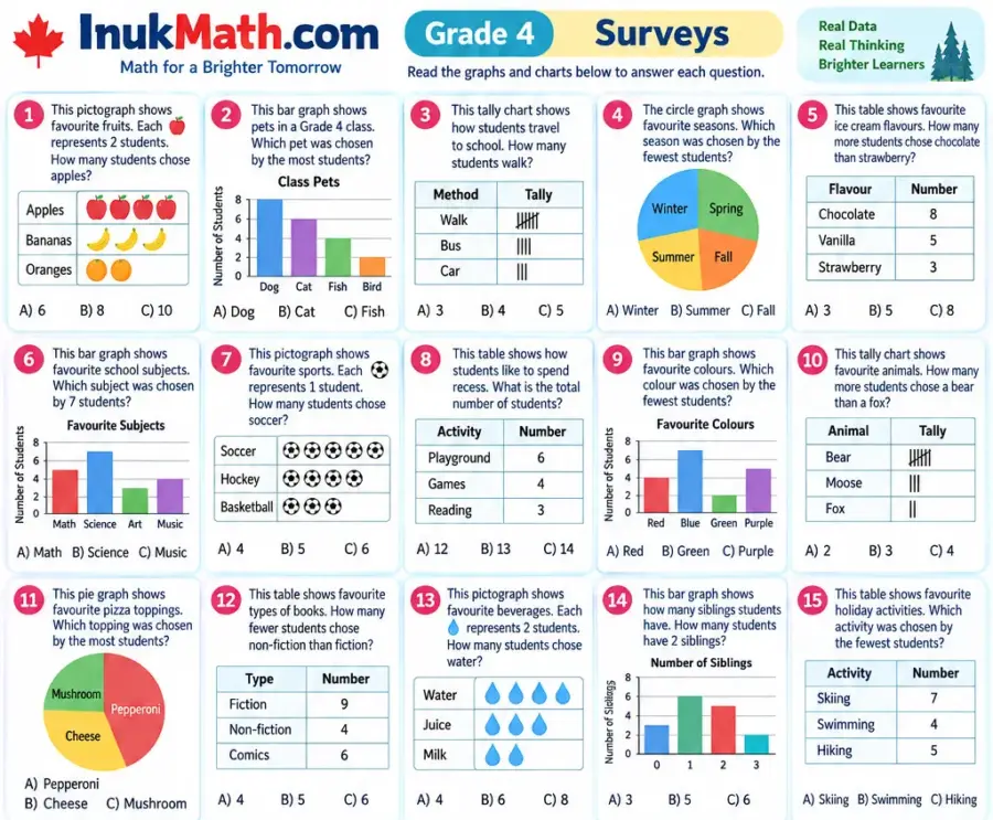 Surveys – Grade 4 math worksheet (preview)