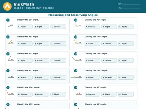 Measuring and Classifying Angles – Grade 6 math worksheet preview